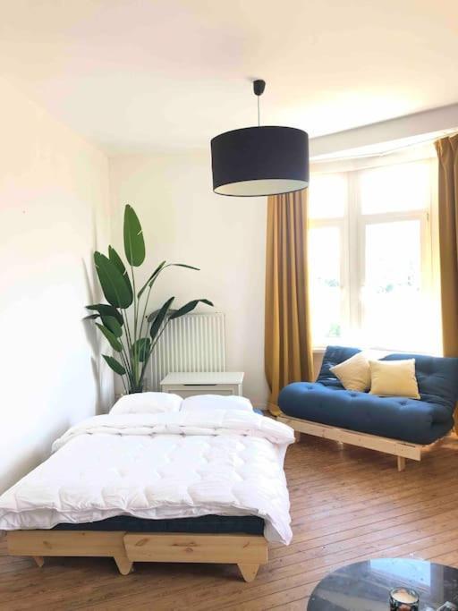 Cozy - Sunny Zurenborg